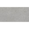 SHELLSTONE GRIGIO 60x120
