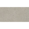 SHELLSTONE TAUPE 60x120
