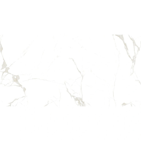 Dlažba imitácia mramoru STAT CLASSIC 60x120