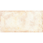 Rustikálna dlažba TERRAE SPELLO 20,3x40,6 Ceramica Rondine