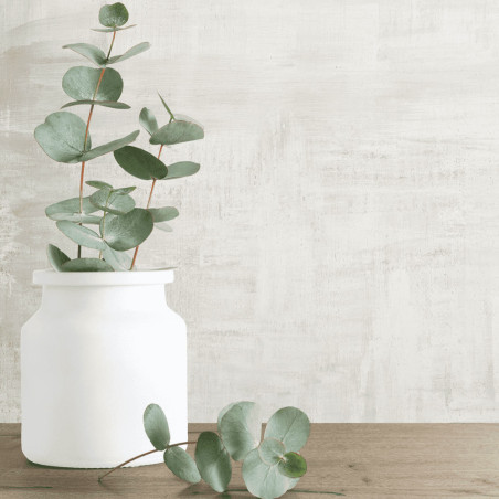 Dlažba imitácia betónu H24 WHITE 60x120 Energieker