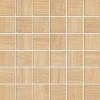 ALESSANDRIA ARCE 30x30 - mozaika štvorcová
