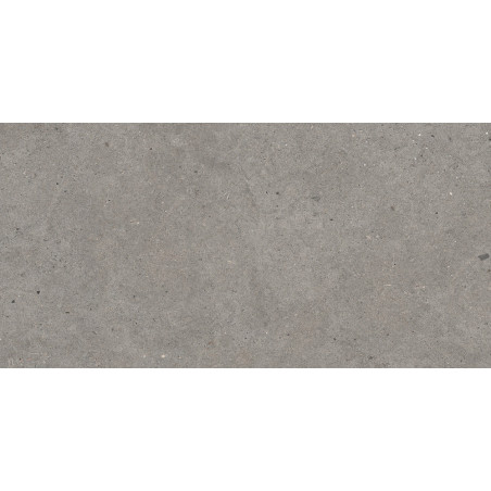 Dlažba imitácia kameňa ELYSIAN GRIS CATALAN EY 04 60x120 - matný povrch R10 Mirage