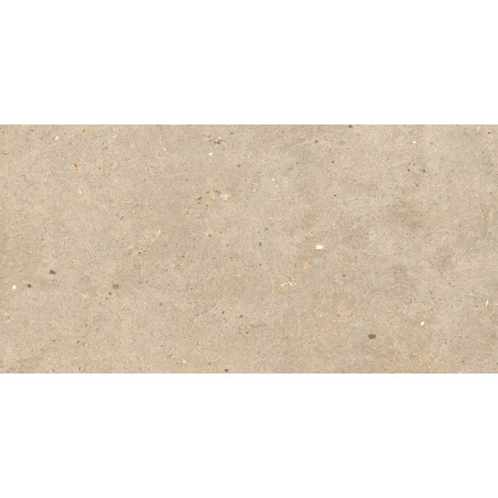 Dlažba imitácia kameňa ELYSIAN GOLD CATALAN EY 09 60x120 - matný povrch R9 Mirage
