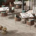 Dlažba imitácia dreva OUDH ELEM OU 02 20x120 - matný povrch R9 Mirage