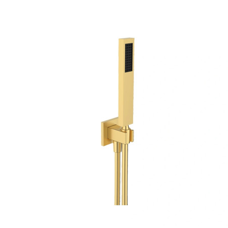 PIXEL-BRASS FRONTAL sprchový set | 05 541 488 kartáčovaný zlatý